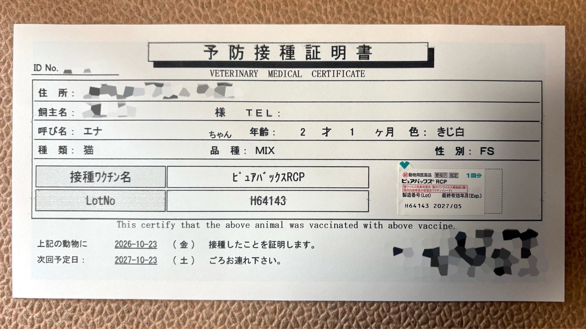 enachan0905's tweet photo. ワクチン接種行ってきました💉🐈🐾 https://t.co/VYNubWoaTX