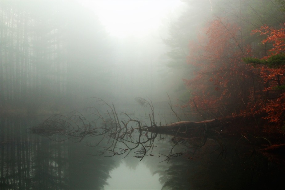 viewbug's tweet photo. Fallen branches in a still lake, wrapped in mist.

“Twilight Zone” by josephbologna — from Foggy Moody Photo Contest on VIEWBUG.

Enter the Foggy Fantasy Photo Contest:
https://t.co/AmMIOoxsty

#photography #fogphotography #landscapephotography #viewbug https://t.co/tQkZmUKSmY