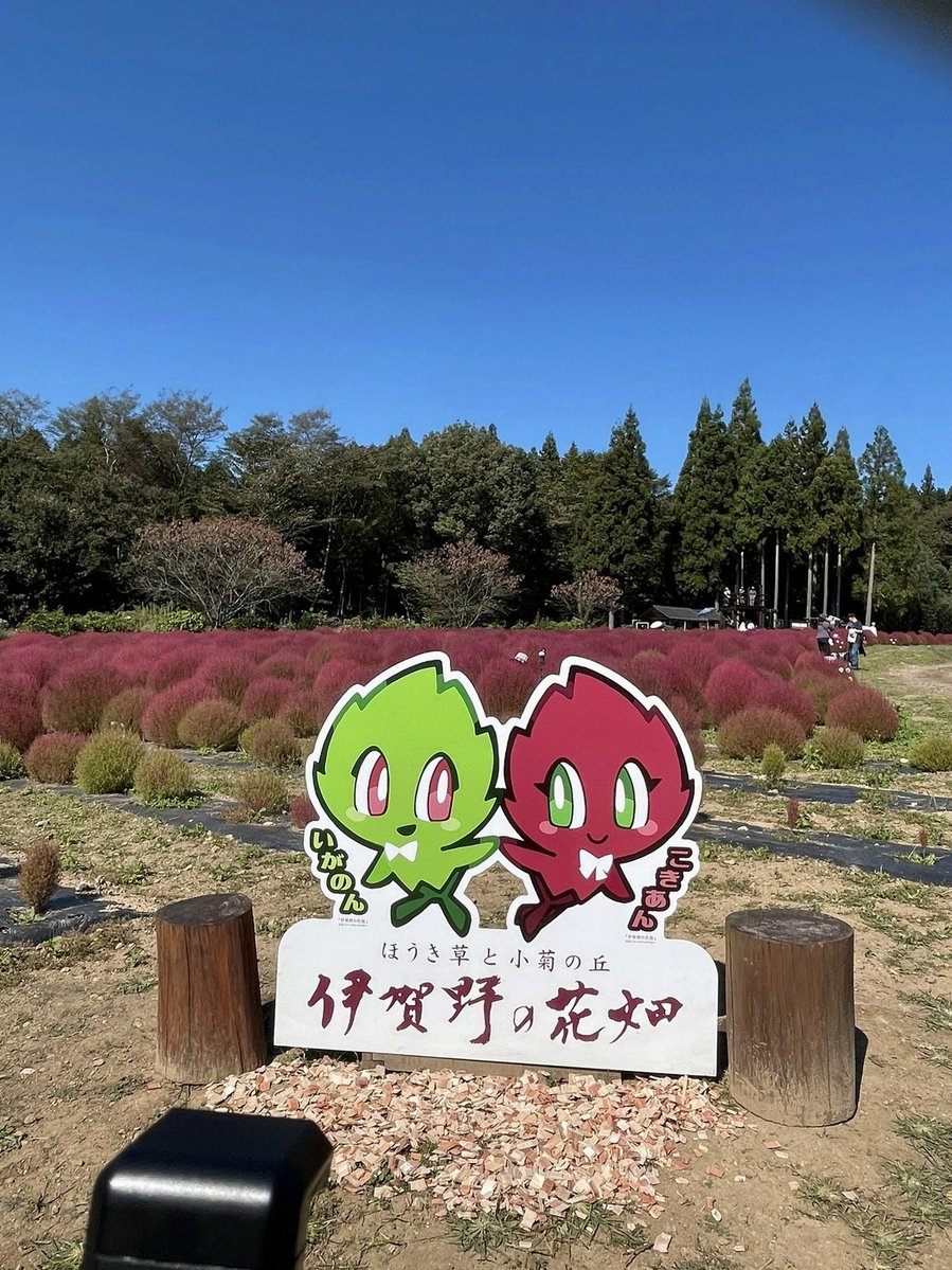 elskertar's tweet photo. 現実に私の絶対的な味方はいたらダメだから妄想の中のとぬだけが優しくいて欲しい、妄想に執着することがダメなのはわかってるんだけどね https://t.co/ape1jFi5Uj