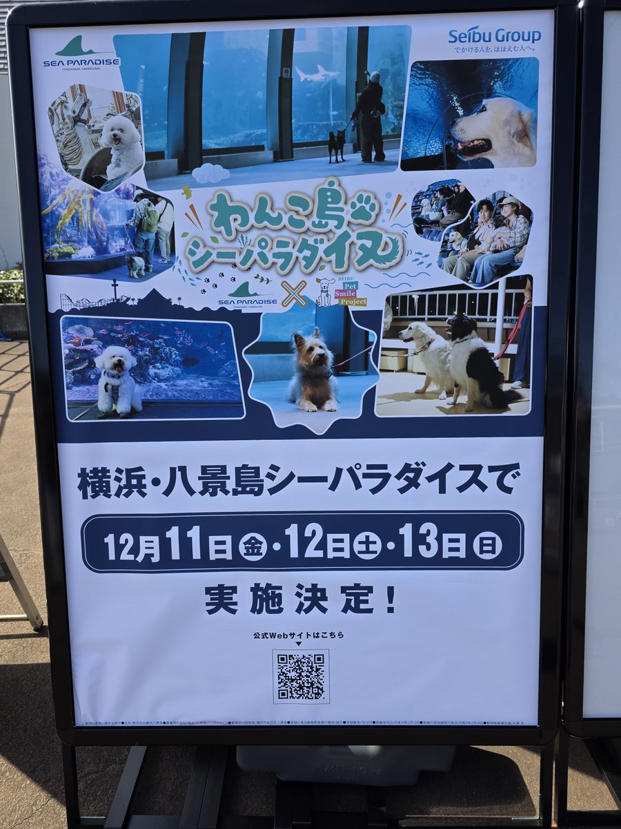 mamorunrun's tweet photo. 連れて行かねば https://t.co/KWAp94amV7