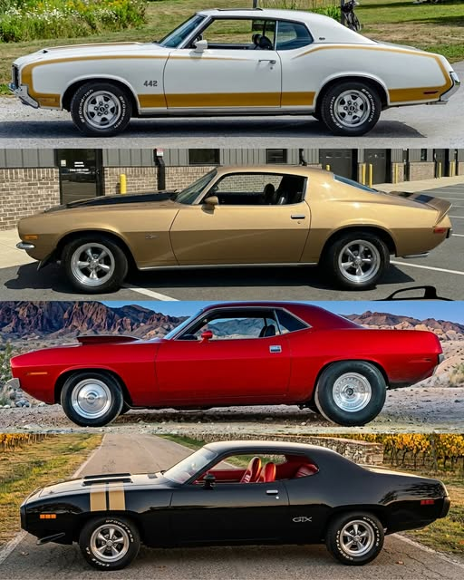 Lena318cn's tweet photo. Oldsmobile 442,Chevrolet Camaro Z28,Plymouth Cuda,Plymouth GTX. How would you choose? https://t.co/vEkKt0B7g8