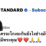 Photo by มันจะดีฮะ มรุงงง (@malaimaimee)