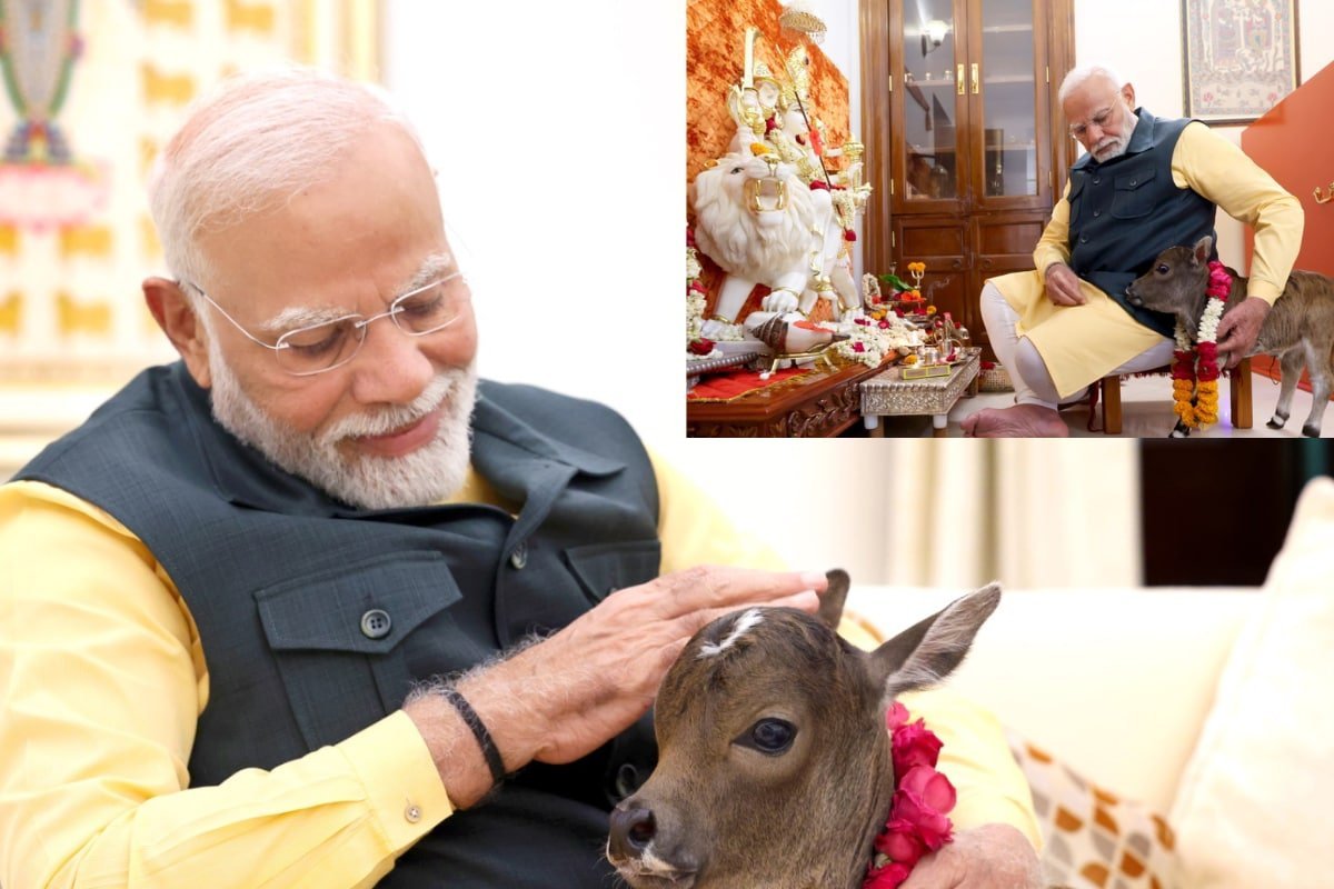 SantuCongress12's tweet photo. #Gaumaataacts .... Kaa bhi poora desh ko.....#visheshpunya.... Aur #Atmavishwas...laatha ji....
Arey #Maunibaba.... Kitna dhin...
#Atmako ghoomthe fhirke bolte ji....
Seedha bolne ki #Takahth....
Aapko samaj mei nahi aatha ji...
Bahut hua.... Ji..
Khan khol ke sunlo ji...
Dhimak teek karlo aur dhimak ki batti jalaa dho ji...
INQUILAB ZINDABAD
Jai Gandhiji jai bhim
Jai Hind
@INCIndia
@BJP4India @RSSorg @PTI_News