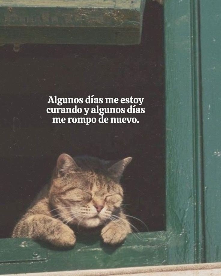 ritamaquintero tweet picture