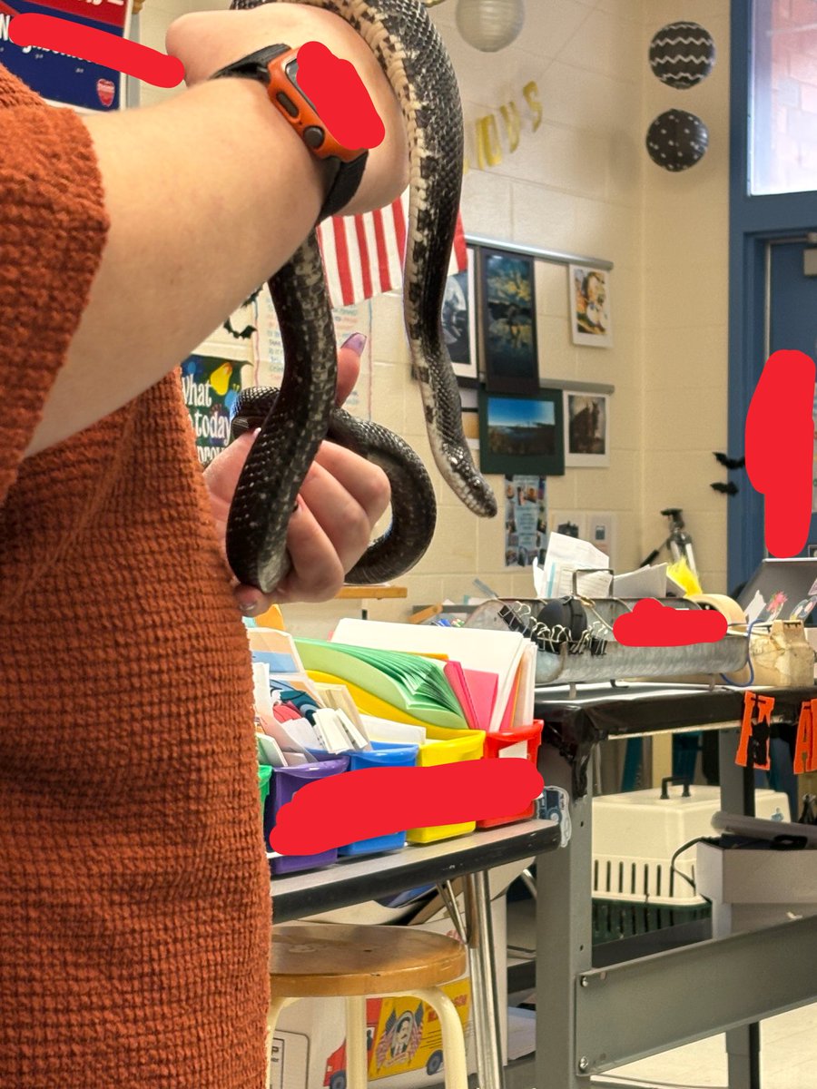 strwberry_l0ver's tweet photo. evil snake attacked me at school today 😢 https://t.co/iK43IkgNil