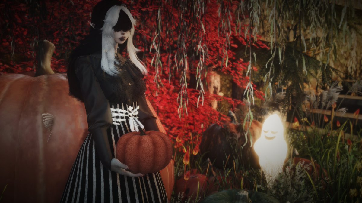 Murder_Tramp13's tweet photo. Getting the pumpkins ready https://t.co/iZzqOdj6PD