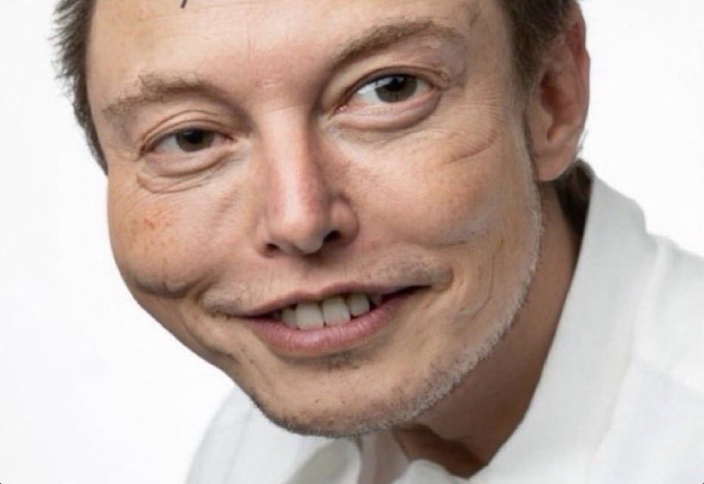 TheFungi669's tweet photo. Elon Musk hates it when I post his face on Twitter.

So please don’t retweet this.

Thank you. https://t.co/i870hJKXSA
