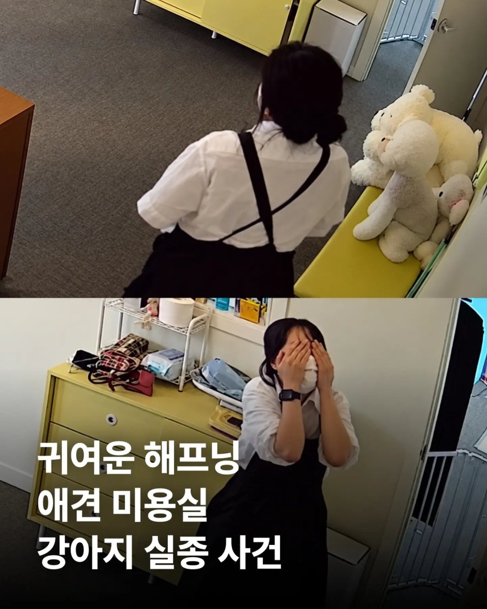 hyedn8131's tweet photo. 배추야 어딨어?
직원분 진짜 심장이 쿵! 
없어진줄 알고 놀랐겠다(・ε・｀ ) https://t.co/XzNtJIa2yk