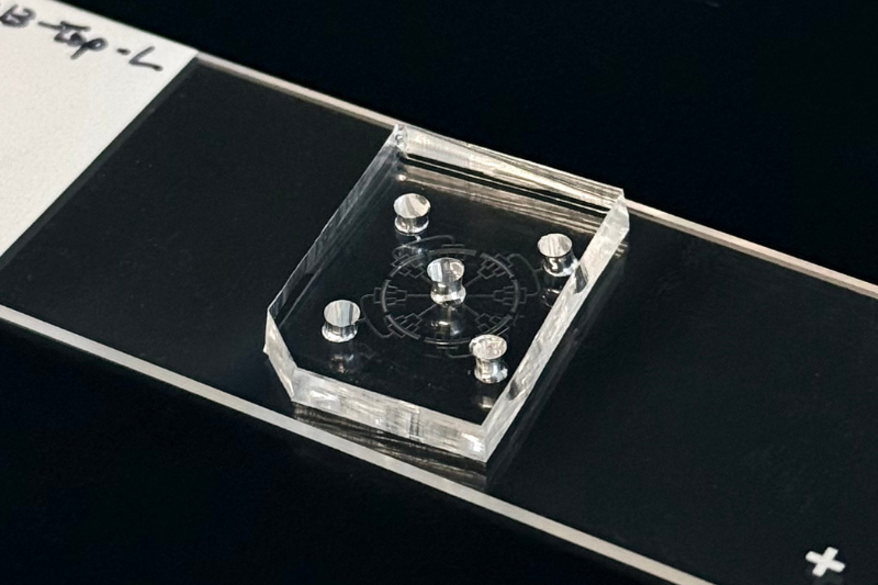 UCLAstemcell's tweet photo. This microfluidic device squeezes cells as they pass through, loosening their tightly packed DNA so CRISPR tools can reach and switch on genes to make cell reprogramming more efficient. 🧫🧬

🔗 https://t.co/udwB9cSLYa

#ResearchPowersProgresss #CellReprogramming #CRISPR https://t.co/BRWH8iUmLq
