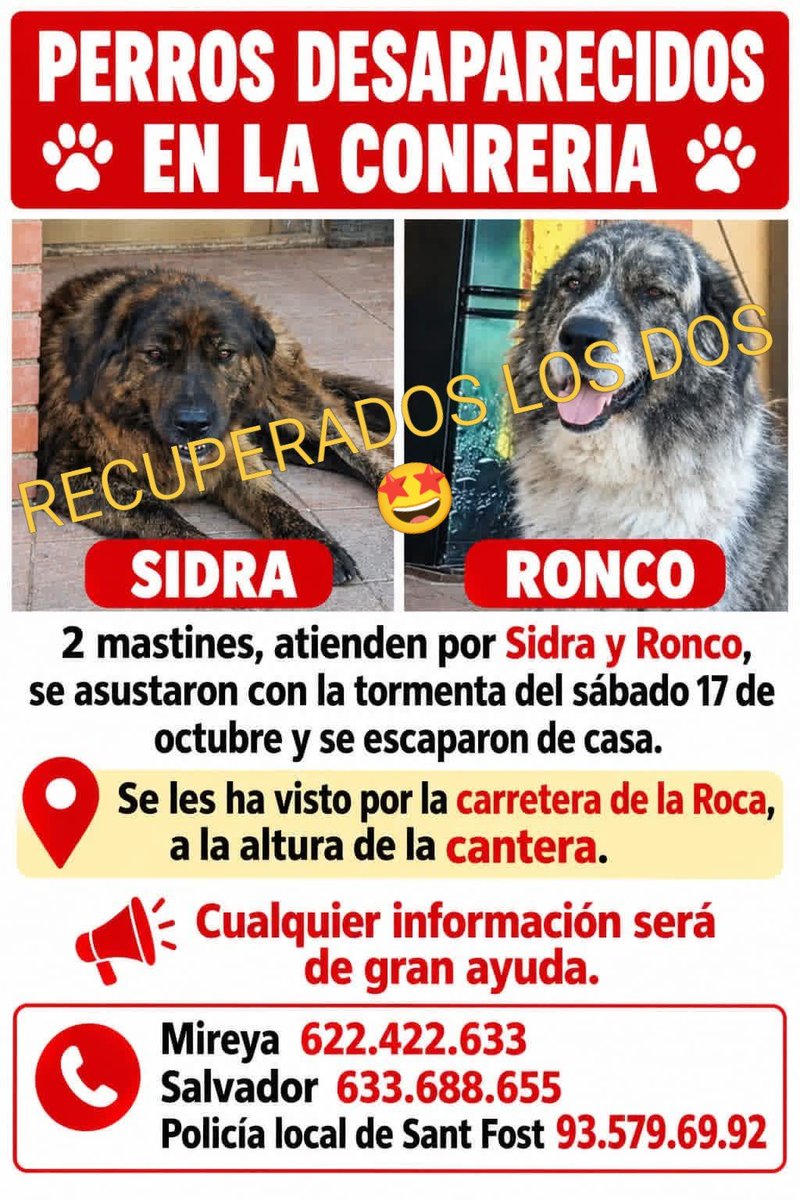 areagossosbdn's tweet photo. ⚠️ ACTUALIZACIÓN ⚠️
Los dos mastines perdidos en #SantFostdeCampsentelles #Barcelona ya han sido recuperados. SIDRA también ha sido encontrada 😍
Gracias a tod@s por la difusión
👏👏👏
#XarxaBarcelonaTrobats
#FemXarxa https://t.co/cbV27sron1