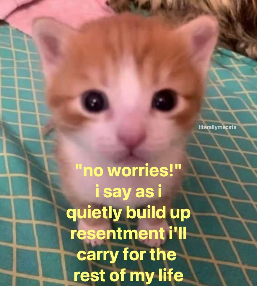 literallymecats's tweet photo. https://t.co/1f67LTpbdF