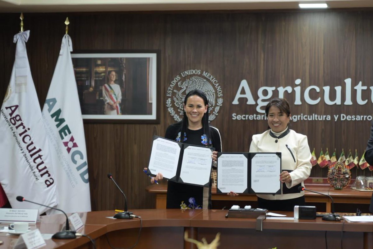 AMEXCID's tweet photo. 🤝🌱 México fortalece la cooperación para impulsar el desarrollo agroalimentario.

#AMEXCID y @Agricultura_mex suscribieron un Convenio Específico de Colaboración Alimentaria 📑🌽 para vincular las capacidades técnicas 👩🏻‍🔬👨🏼‍🔬 de México con oportunidades de cooperación internacional en beneficio del campo 🌾, quienes lo firmaron 🖊️📄 fueron las titulares de las respectivas instancias, @AlejandraDMV y @columbalopezg.

El acuerdo permitirá impulsar proyectos conjuntos de capacitación, asistencia técnica e innovación en temas como salud de los suelos, uso eficiente de fertilizantes, bioinsumos y sanidad agroalimentaria🌾🌱. 

El siguiente paso será identificar prioridades y construir proyectos con objetivos claros, resultados verificables y soluciones que respondan a las necesidades de las y los productores y de cada territorio🚜.

Con conocimiento, cooperación y trabajo conjunto, contribuimos a fortalecer las capacidades agroalimentarias y a generar mayores oportunidades para las comunidades rurales🇲🇽.