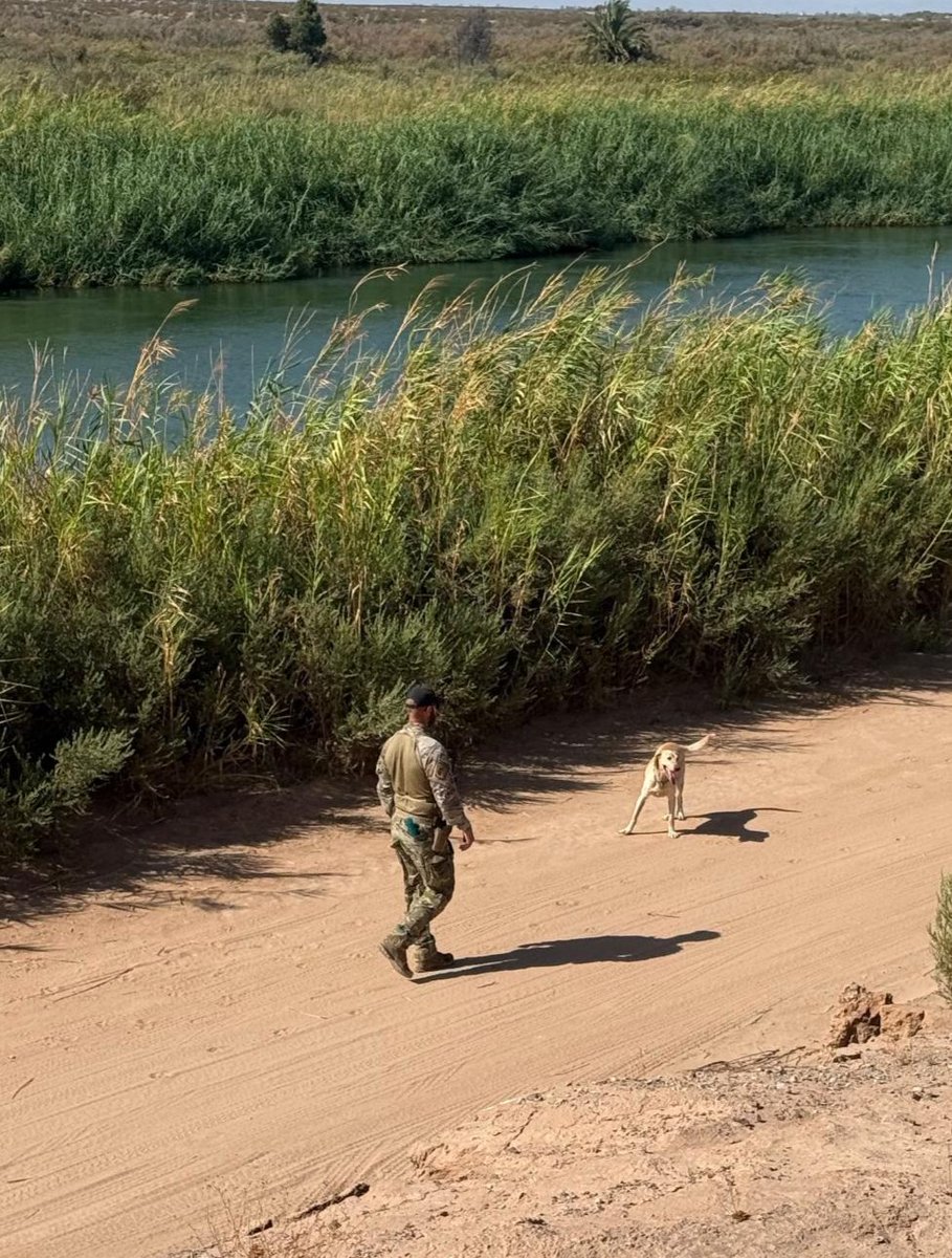 USBPChiefELC's tweet photo. Two Mexican nationals crossed the border illegally near #Calexico, CA and attempted to hide in the canal. BORSTAR’s search-and-rescue K-9s put their training to work and found them. 🐕

Both are now drying off in a cell and in removal proceedings.

BORSTAR: “So Others May Live.”

#USBP #CBP #DHS #ELCENTROSECTOR #k9