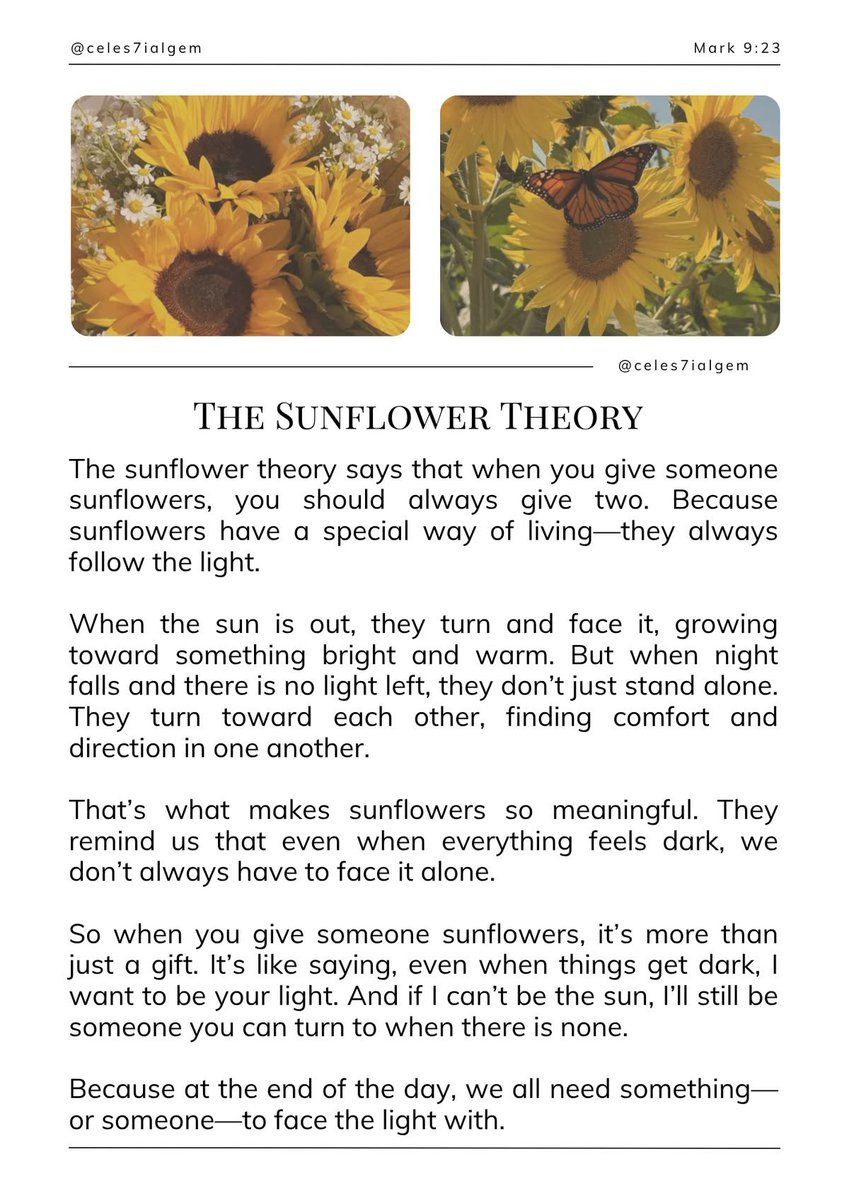 JkBelovedModelV's tweet photo. IM CRYING 

So when you give someone sunflowers, It's like saying, even when things get dark, I want to be your light. $ if I can't be the sun, I'll still be someone you can turn to when there is none. at the end of the day, we all need someone-to face the light with. https://t.co/WjoF4SD4He