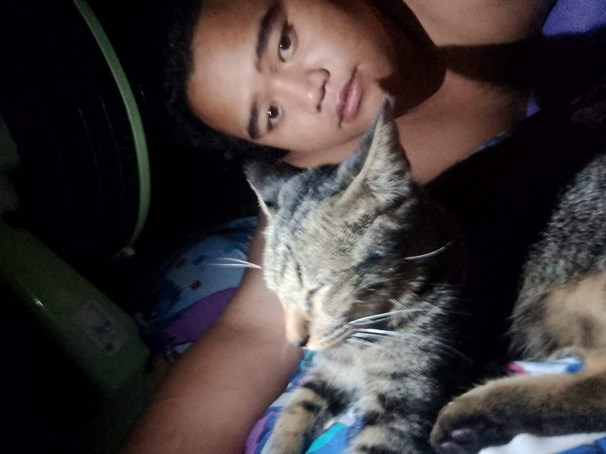 TigerDiamond49m's tweet photo. lonely https://t.co/zefMkXBVW8