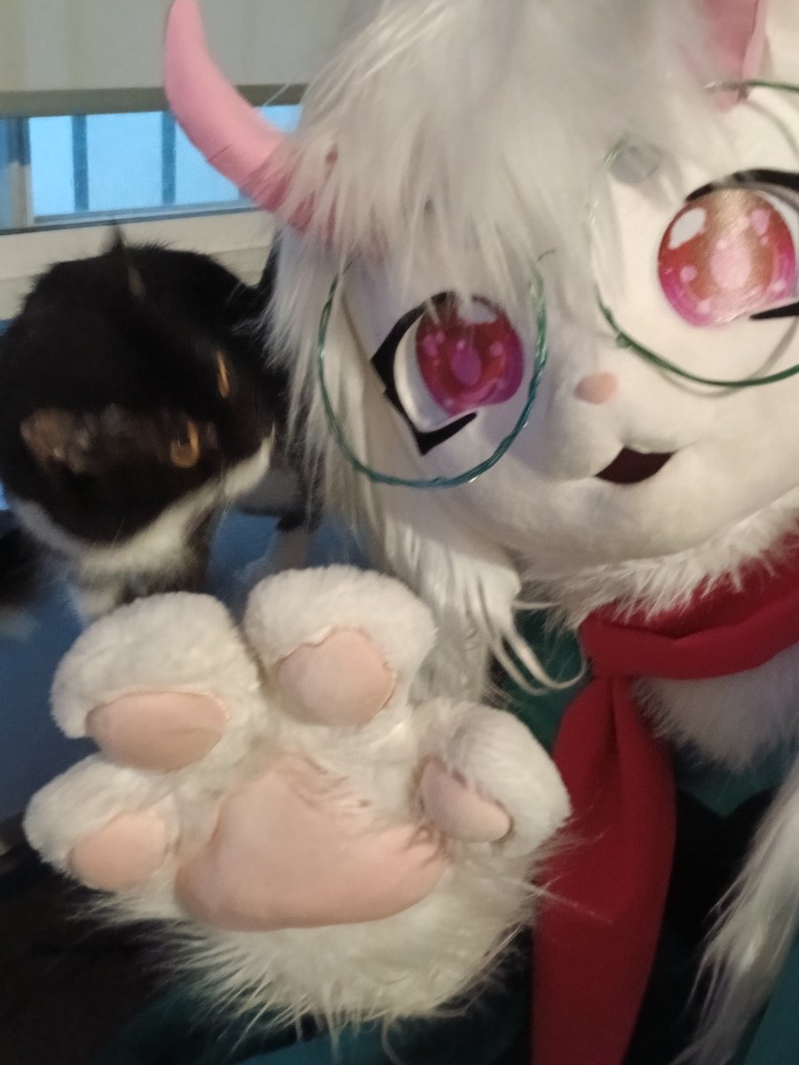 ralseifurkig's tweet photo. Raly and Pluey shenanigans! 🐈‍⬛
#Ralsei #DeltaruneCosplay #DELTARUNE https://t.co/zISyXc4myP