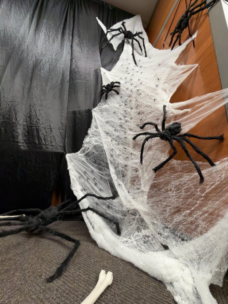 KickapooHarrah's tweet photo. 😱 Spiders can have the following number of eyes! 🕷️⬇️ One number is false... Which is it? ❓ Comment which number is FALSE! 👀 #Trivia #Scary #DidYouKnow?
0 Eyes
2 Eyes
4 Eyes
6 Eyes
12 Eyes https://t.co/FDLWFTLXvW