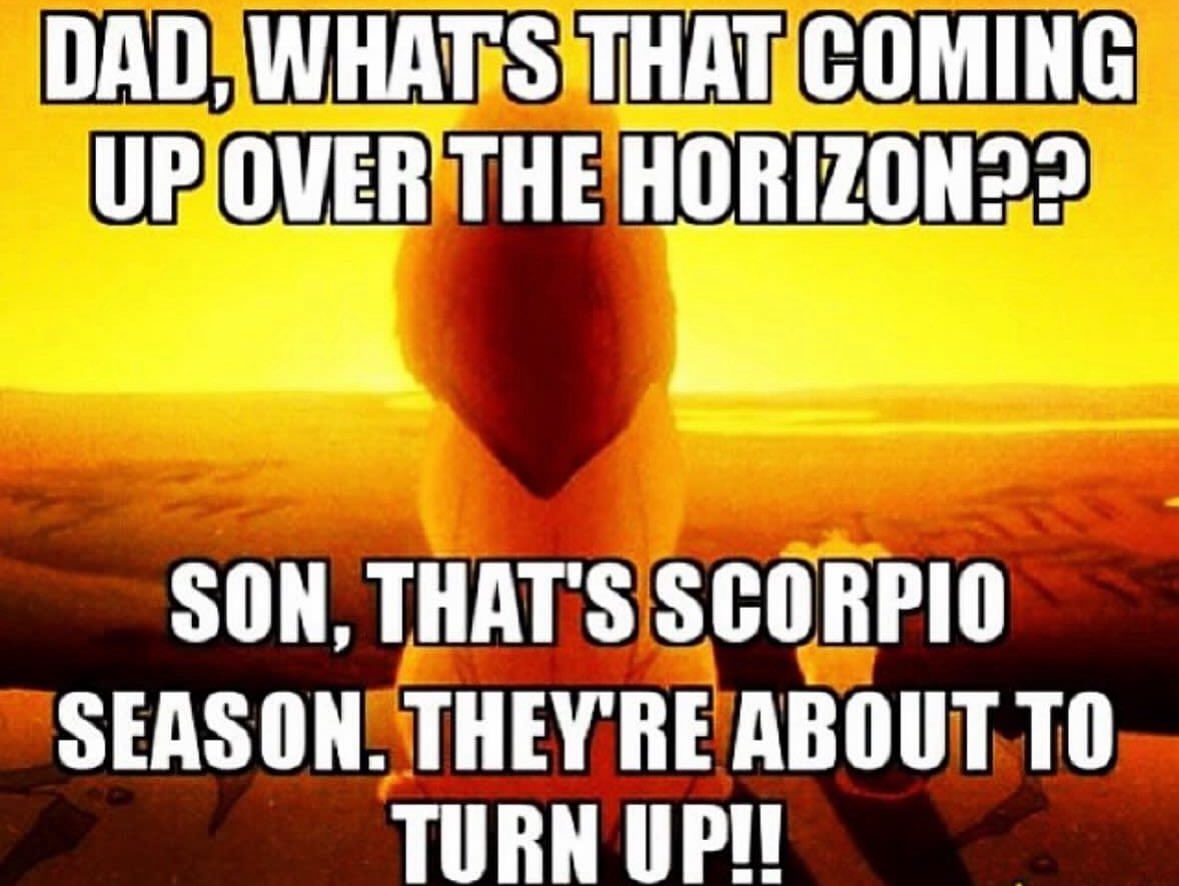 ScorpioMystique's tweet photo. just a few more hours til our season begins!! ❤️‍🔥♏️😎

#scorpioseason 🦂 https://t.co/JsLAGtSUgO