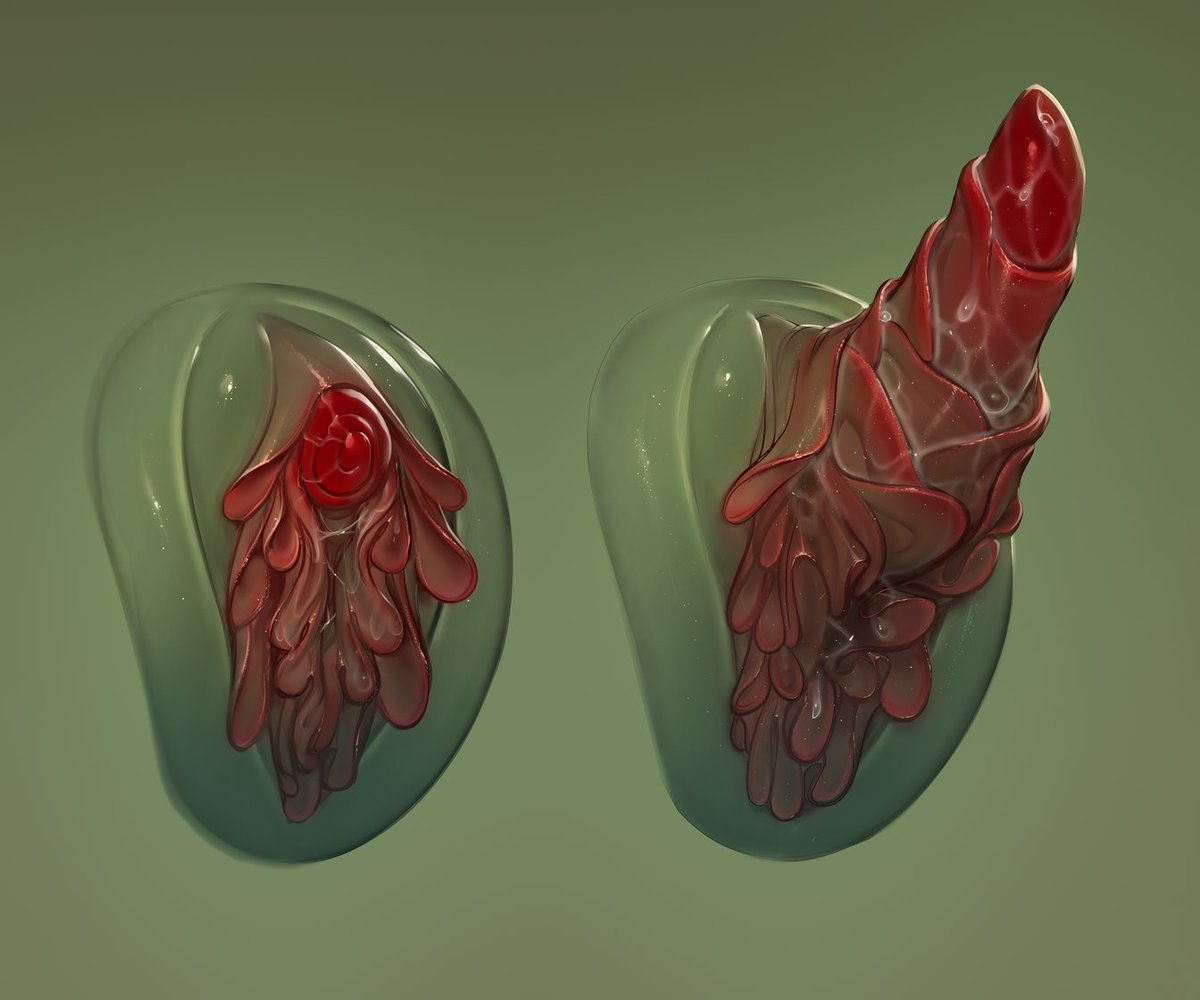 FILLEDwDONGS's tweet photo. some flower genitalia for @420tiddies ! https://t.co/Ax9D01soLS