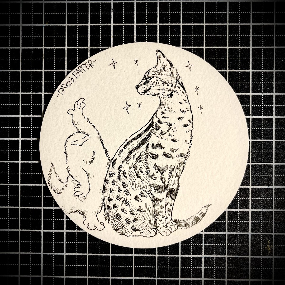 yukacanislupus's tweet photo. おはようございます🌞
Day23 Dapper
洒落た

やっと週末だ😫

#Inktober https://t.co/2AvB8PeZFl
