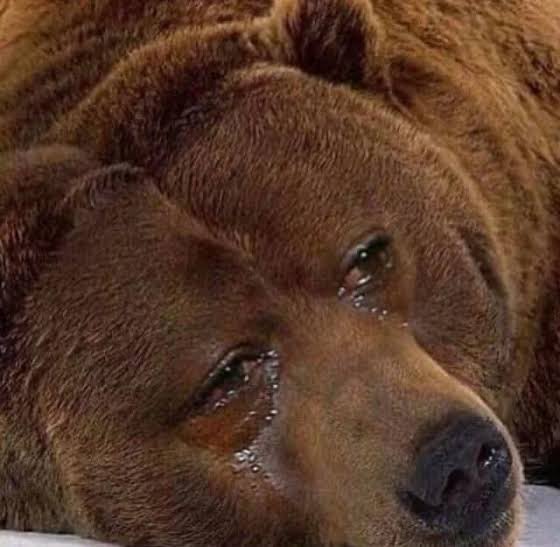 CentralCapper's tweet photo. How it feels as a Bears fan seeing everyone on Twitter pick us to cover tonight 😭 https://t.co/LMRTmwn7nS