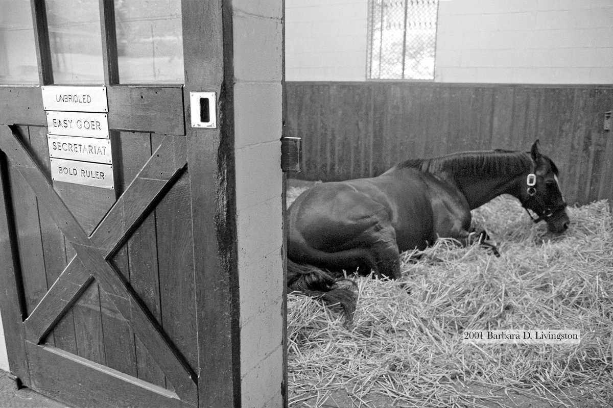 DRFLivingston's tweet photo. Beloved 1990 Breeders' Cup Classic winner UNBRIDLED, resting in his classic Claiborne Farm stall in 2001

The 1990 Grade 1 Kentucky Derby and Grade 1 Florida Derby are among UNBRIDLED's other wins. https://t.co/koDIh8yqvn