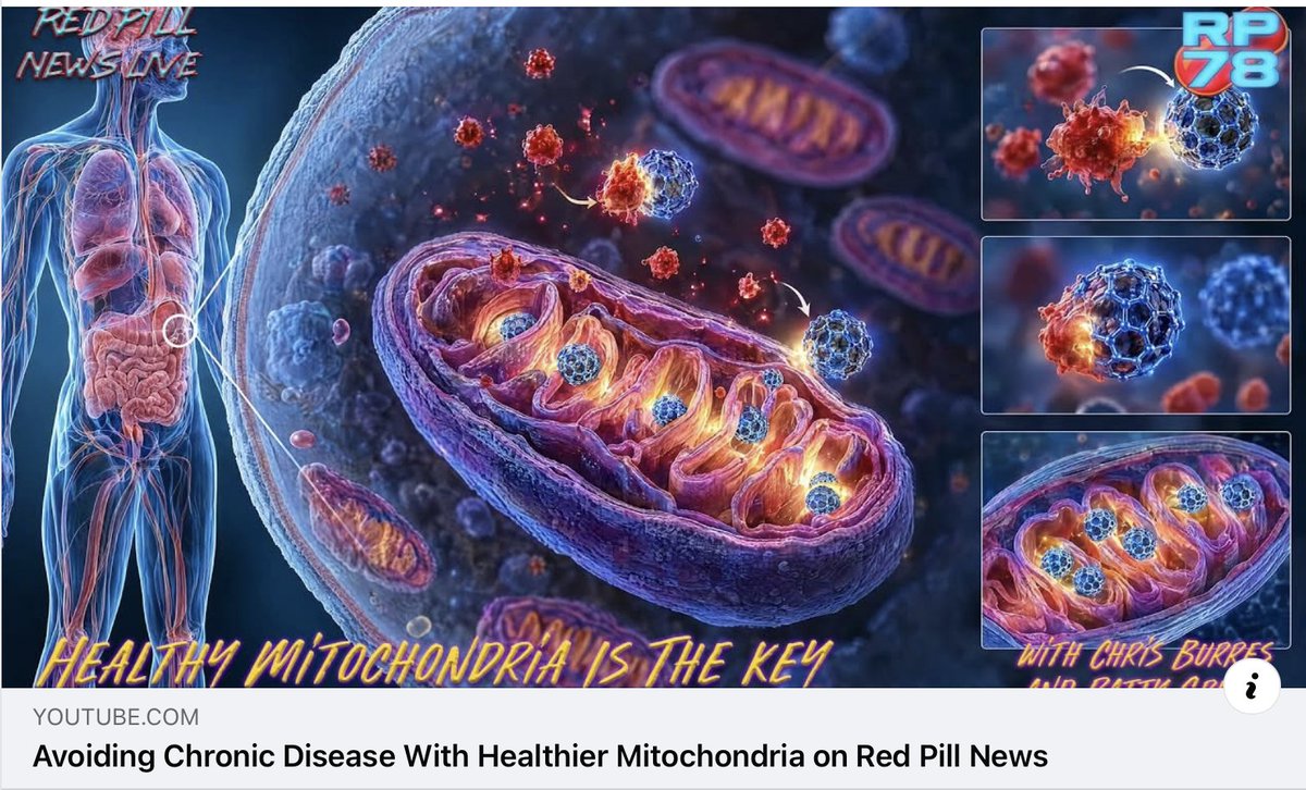 PattyGreerC60's tweet photo. Redpill 78, Patty Greer + Chris Burres @ C60 Evo https://t.co/FbmGeg9DWM
"Avoiding Chronic Disease With Healthier Mitochondria on Red Pill News"
#C60, #ESS60, #C60Evo #Redpill78  https://t.co/waIeiV5lVo
https://t.co/Y8iov3evAJ https://t.co/P69LQVDAsY