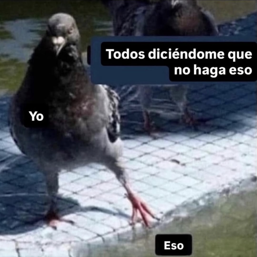 Guarromantico_'s tweet photo. Soy ese. https://t.co/NRkYzZR49g