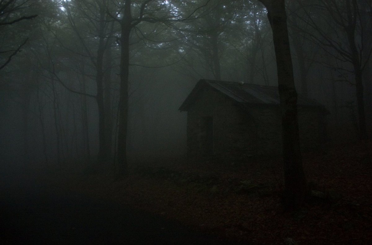 WriterForest's tweet photo. https://t.co/9rciQBcTGV