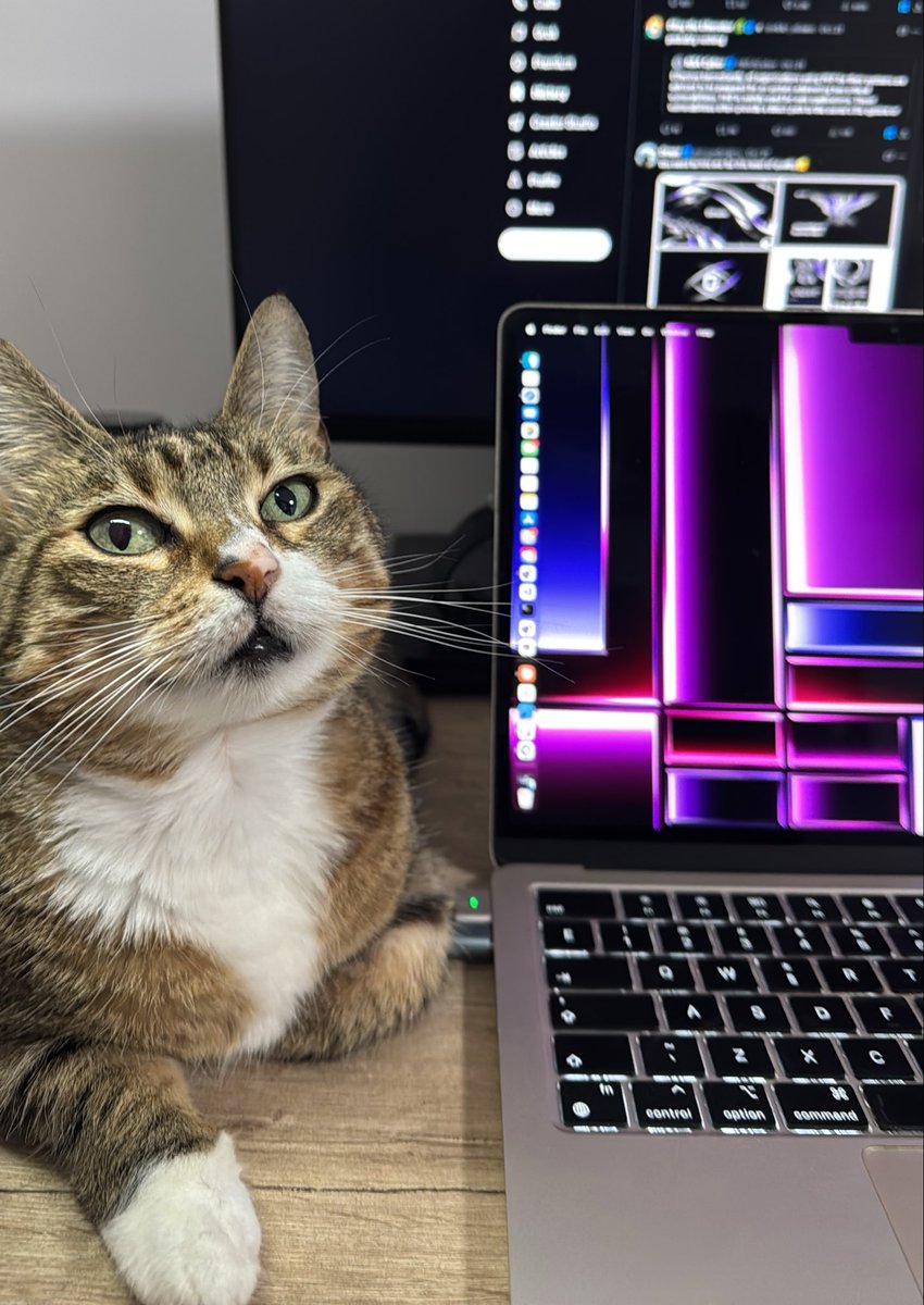 geo_yrd's tweet photo. 100 followers! Missy and I are officially a little bit famous 🎉 

Thank you all, and let's keep connecting and growing together 🐈‍⬛🐈 

Next step: 200 followers 🔥 https://t.co/9ryMHWEFG4