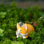 Photo by サカモトリエ/イラストレーター (@riesakamoto)