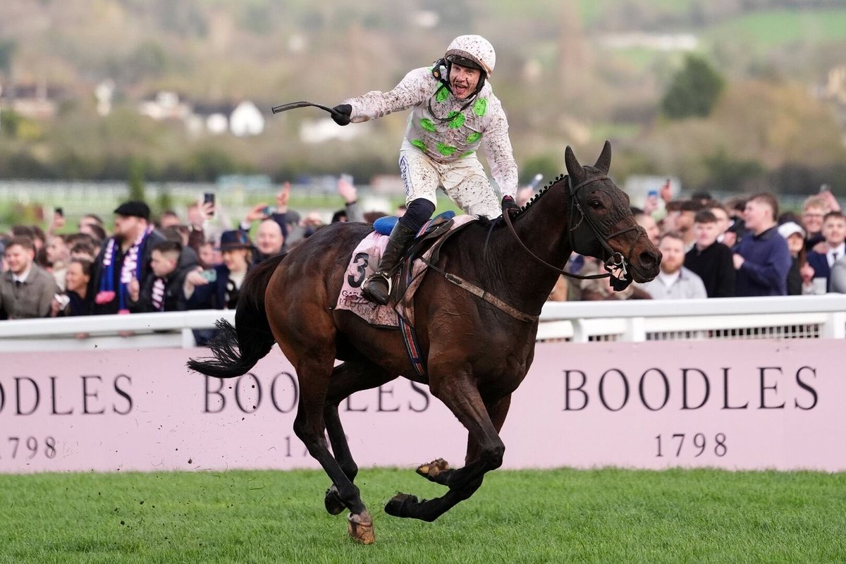 FinnDogTips's tweet photo. 🏇 CHELTENHAM IS BACK! 🔥

Racing returns to Cheltenham today and we’re ready for a massive weekend of action! 🐎

✅ Today’s tips are posted to members!

🎁 SIGN UP NOW WITH CODE ‘CHELT50’ FOR 50% OFF!

https://t.co/8cidJ8U9NQ https://t.co/ctlRoKl1Gv