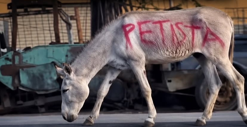 ZAMENZA's tweet photo. Picharam um burro com a palavra "petista". Sério mesmo, o bolsonarismo é a maior desgraça que já aconteceu nesse país. https://t.co/4TrmjcCBM2