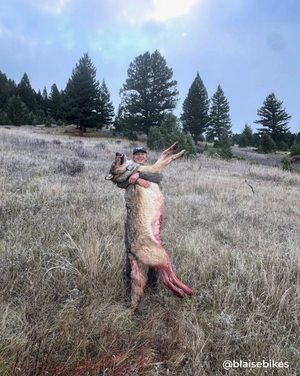 HeatherSharp22's tweet photo. So often that wanker pose with these types, cuddling the dead body of an animal they've needlessly shot. Their egos and bragging rights satiated, until the next time. #BanTrophyHunting https://t.co/NRyJOGuW12