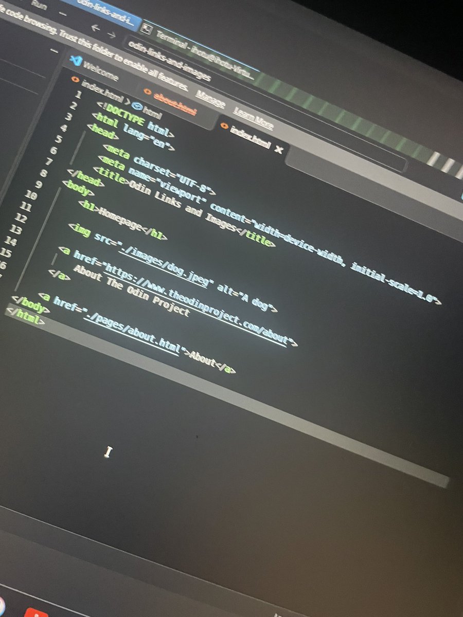 ihotu_alaku's tweet photo. Day 18/100

Today was about HTML links, relative file paths, folders, and images. Created internal and external links, linked an about.html page, organised files, and added an image with alt text.

#100daysofcoding https://t.co/EduR3dDlRY