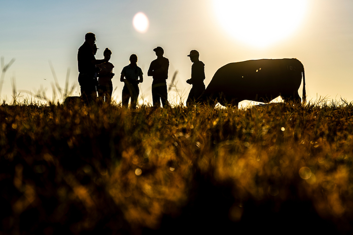 TAMU's tweet photo. For 150 years, Texas A&M University has carried forward its land-grant mission: opening doors, creating opportunity and preparing Aggies to be a force for good.

See how that mission continues today through initiatives like our tuition freeze and expanded Aggie Assurance: https://t.co/gGlO4AHdPq