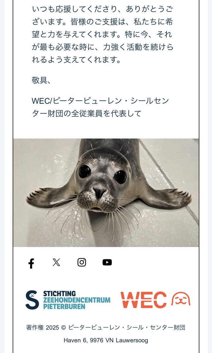 azu_kyousei's tweet photo. ニュースレター来てました😊
議会で複数の政党がWEC存続を支持！
希望が持てたのかな🥹
 #アザラシ幼稚園
 #SaveWEC https://t.co/QVduSWxMwy