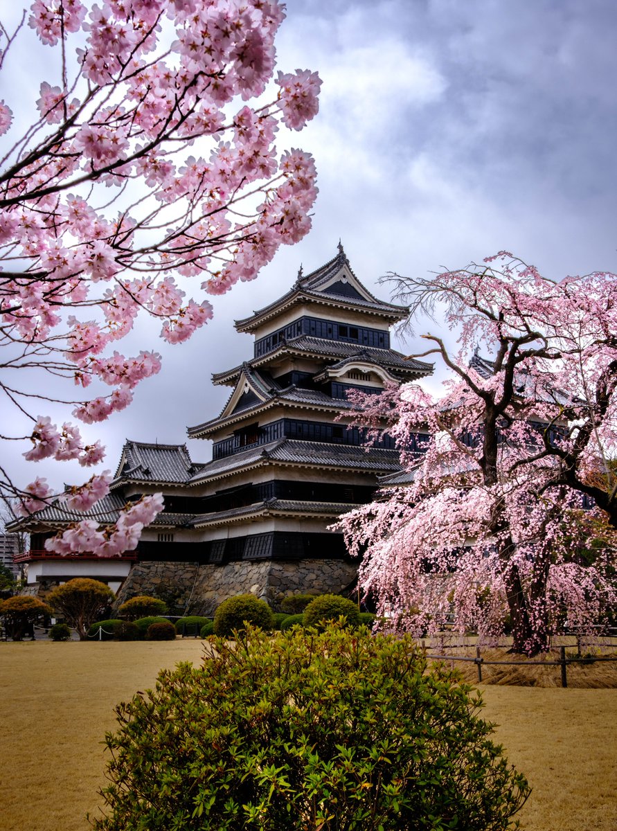 DaengMakassau's tweet photo. Matsumoto Castle, the “Crow Castle, ” is one of Japan’s 12 original castles. Its black wooden walls, historic interior, and Sakura blossoms made every step feel like a journey back in time. https://t.co/HcZaLYmbsq