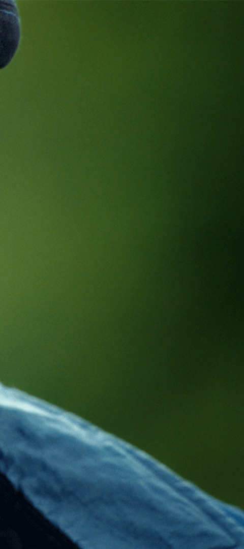 NetflixFR's tweet photo. https://t.co/CaGZTsx9Rj