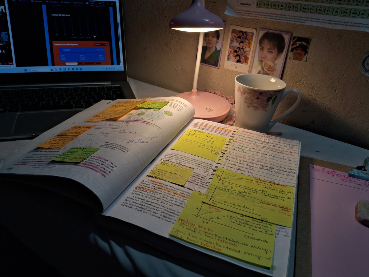 mnijkstudy's tweet photo. começando agr mas pelo menos começando https://t.co/CvmTU9BYAo