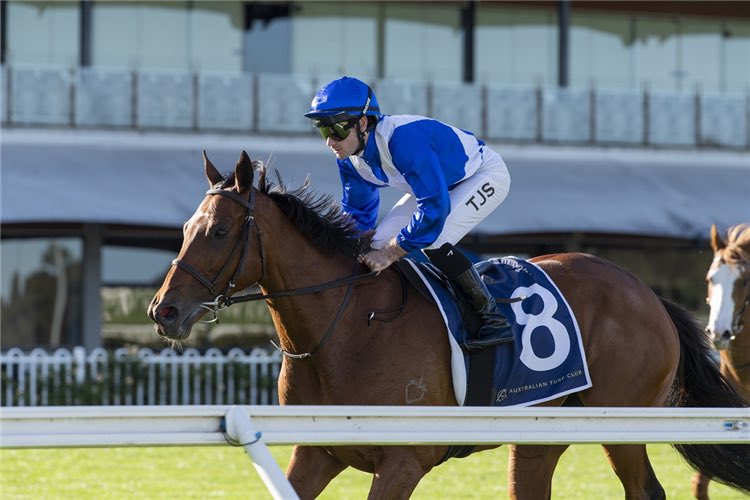 MacBetTips's tweet photo. COX PLATE DAY LOADING… 🧨

Big weekend ahead for us with coverage of all the major meets + Hosted Pot GF for @TheDailyPuntAU 🍯

We’re betting: 
📍 Flemington
📍 Randwick
📍 Eagle Farm 🙏 

Get involved - tips released 9am Saturday👇
https://t.co/4i8BvmpmOK https://t.co/9fy3ezOx2A