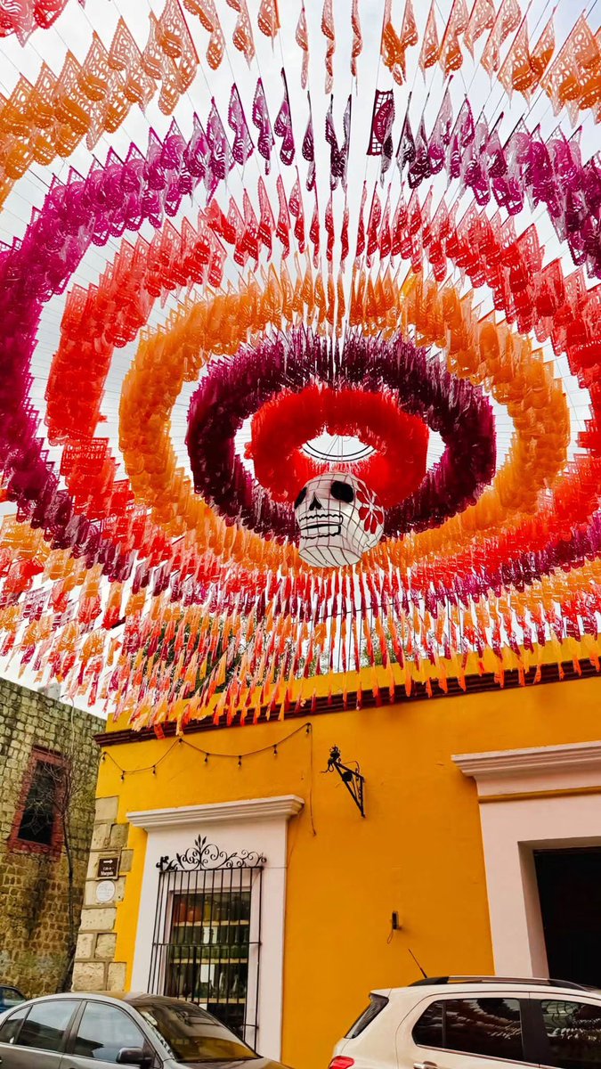 FannyTavar13467's tweet photo. Oaxaca siempre te luces 🧡🧡 https://t.co/UciwDc4iA4