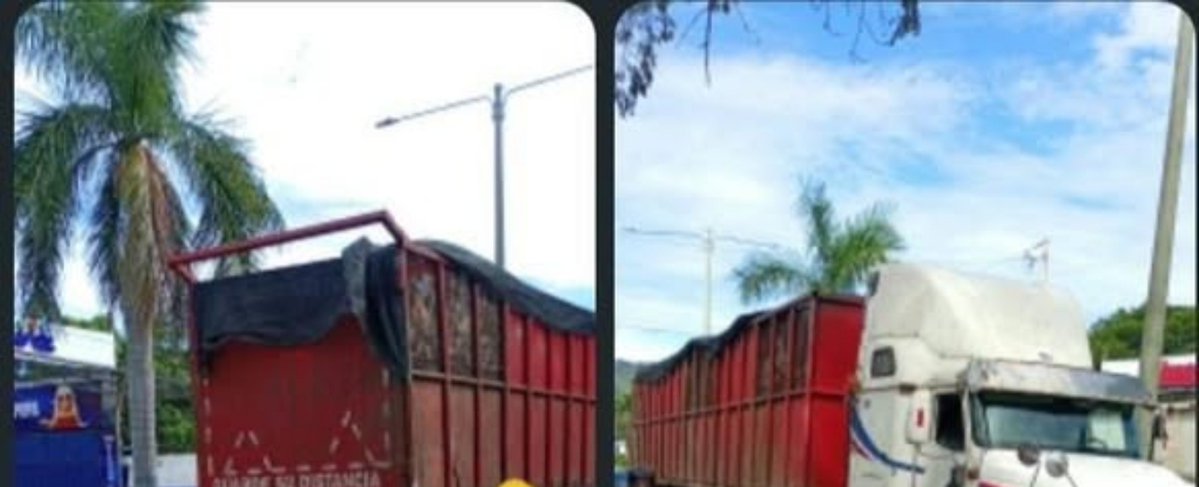 ennews_sv's tweet photo. #ENNews| Una rastra quedó varada debido a desperfectos mecánicos sobre la carretera Troncal del Norte, lo que genera congestionamiento vehicular en dirección hacia San Salvador. #Nacional. https://t.co/9ZkLdFXfk0