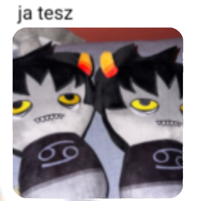 misietopodoba's tweet photo. @FAERIEF1RE ja tesz https://t.co/4rpH1HZbQd
