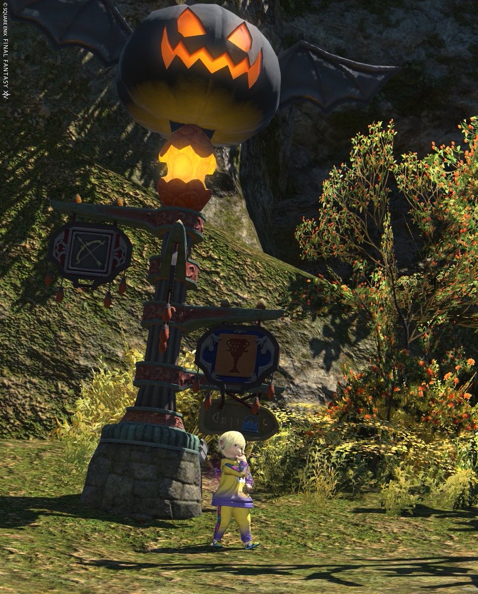 hrskff's tweet photo. 朝活☀️
 #ff14 https://t.co/ZVC1Wa0pKN