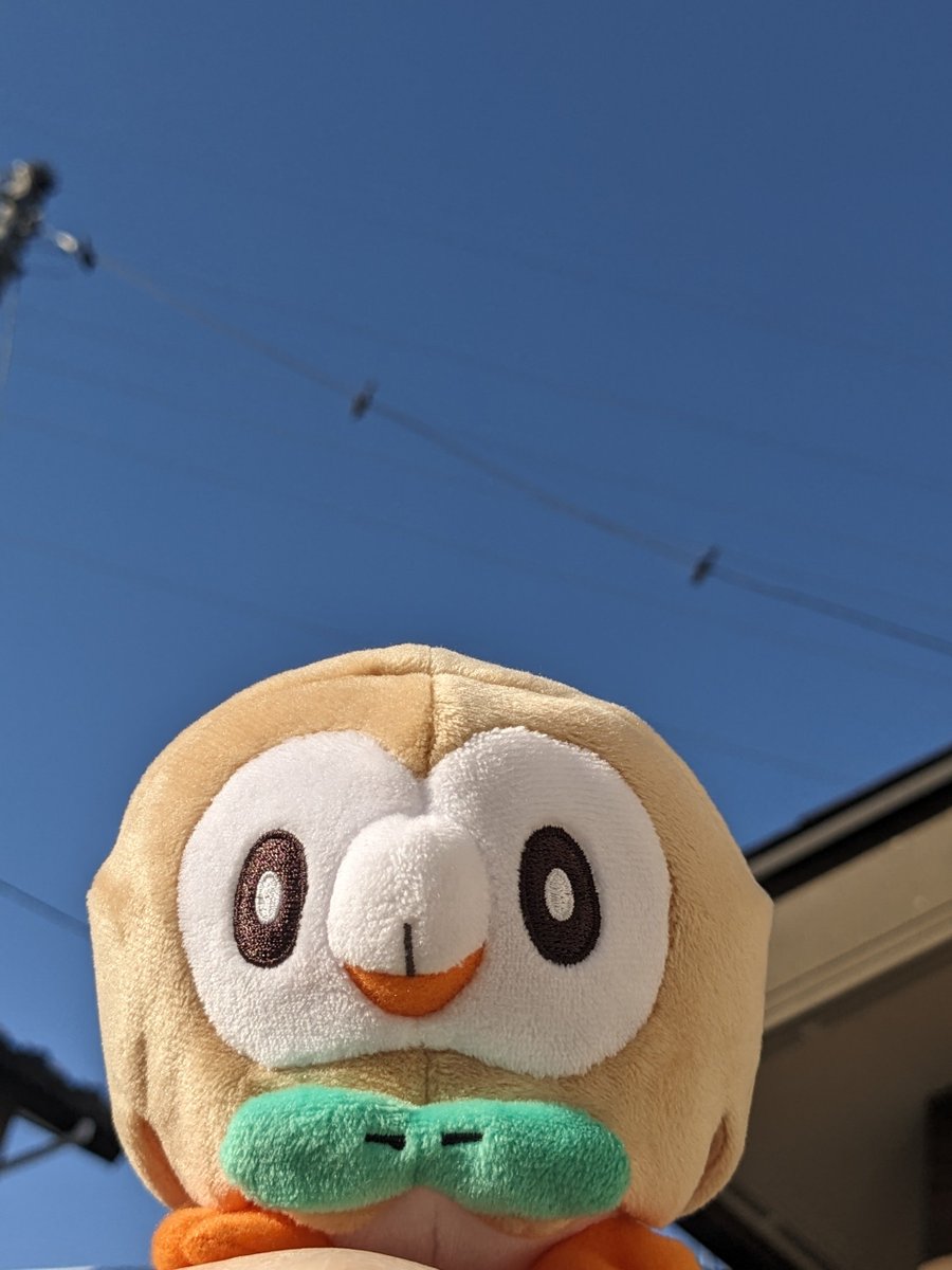 mkazuho's tweet photo. #イマソラ　2026/10/23
気持ちのいい青空☀
空気がヒヤッとしてるよ🛩️

#ぬい撮り　#ポケモンfit
モクロー https://t.co/2TtgwHkCQr