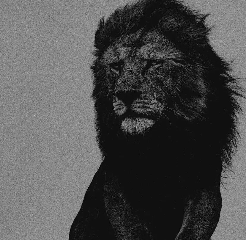 reXchillect's tweet photo. https://t.co/ouhuXKiFGG