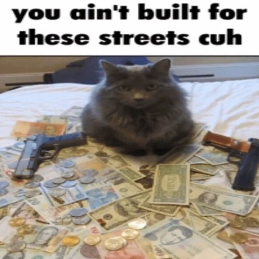 PunchingCat's tweet photo. https://t.co/E0g2F46Lx4
