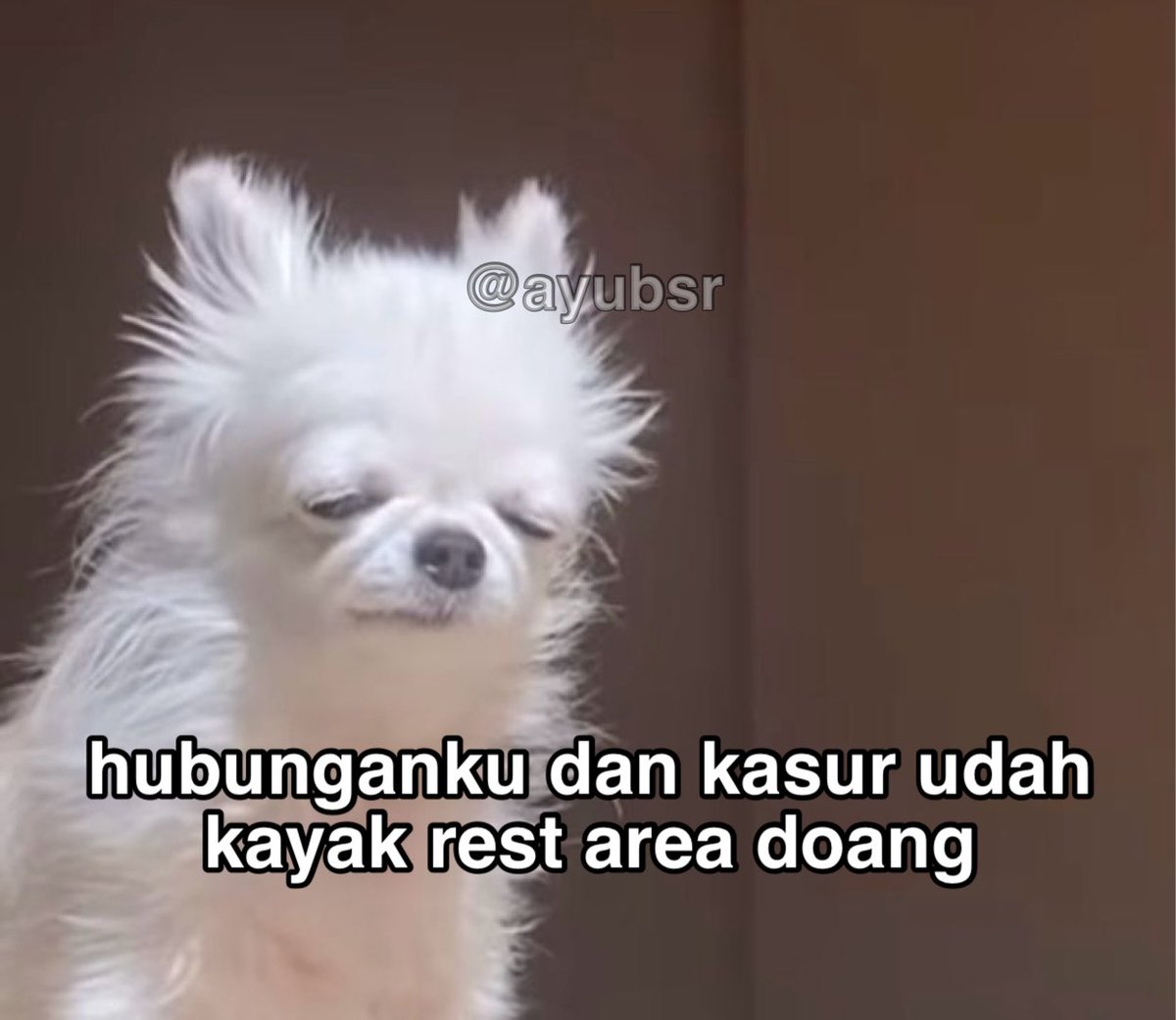 ayubsr's tweet photo. mampir bentar doang alias udah kerja lagi:( https://t.co/GzmYXVA5H5
