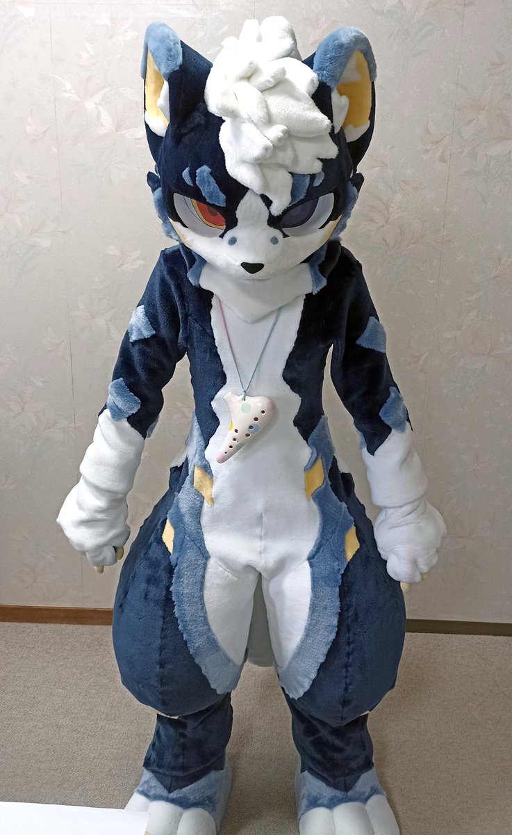 Polaccca's tweet photo. 金曜日なのでとりあえず怒っておきます☺️
#FursuitFriday
#きんたまキラキラ金曜日 https://t.co/UZpJn0BkaE